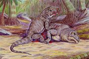 Middle Permian Dinosaur