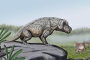 Middle Permian Dinosaur