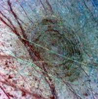 Crater Pwyll on Europa